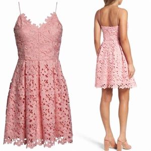 NWT Pink Fit & Flare Lace Dress